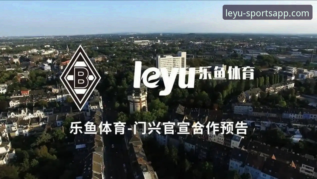 乐鱼体育官网首页2026最新版本 vs 旧版：升级选择全面对比，新手必看指南